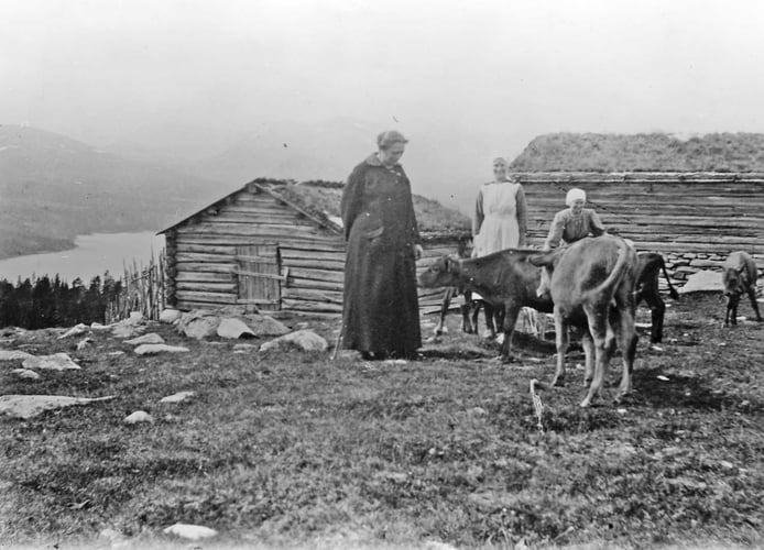 Kvinner til seters i Stor-Elvdal Hedmark i 1918.