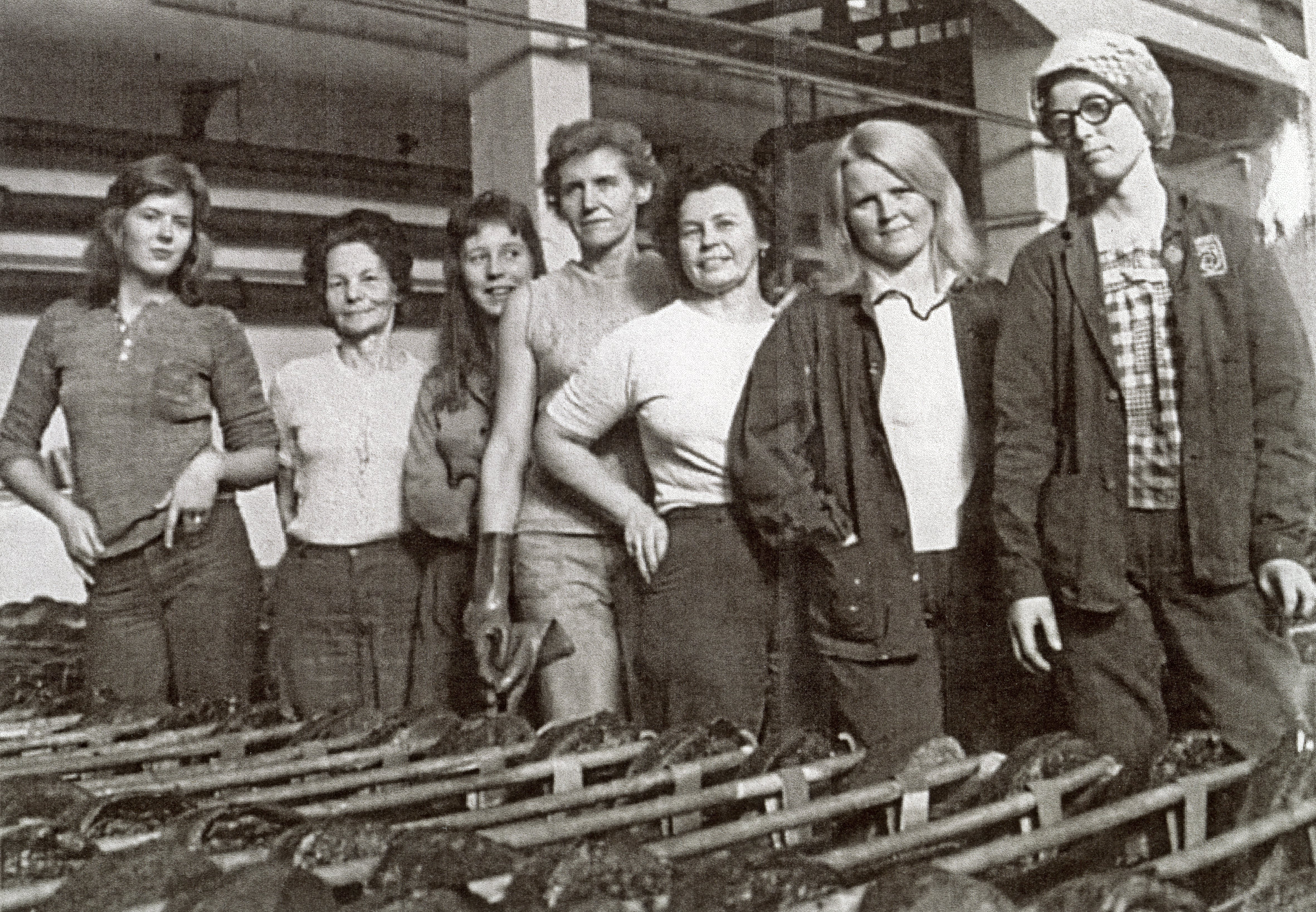 gruppe kvinnelige arbeidere